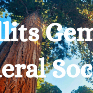 Visit Willits-Willits Gem and Mineral Society